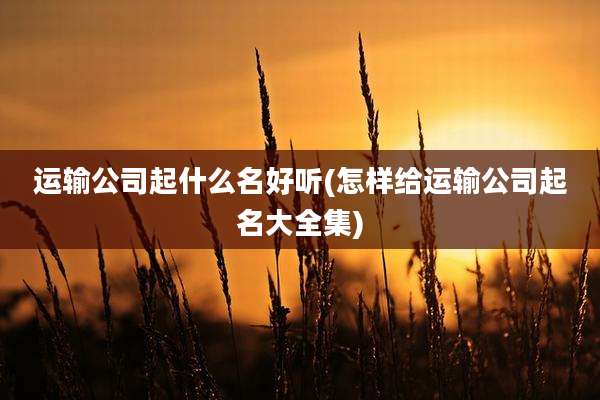 运输公司起什么名好听(怎样给运输公司起名大全集)