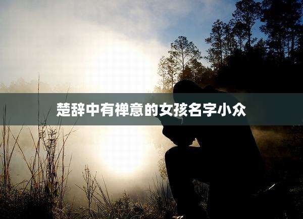 楚辞中有禅意的女孩名字小众