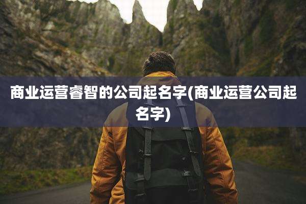 商业运营睿智的公司起名字(商业运营公司起名字)