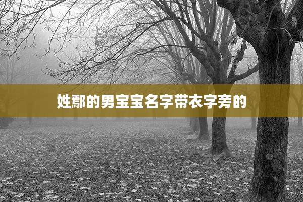 姓鄢的男宝宝名字带衣字旁的