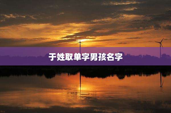 于姓取单字男孩名字