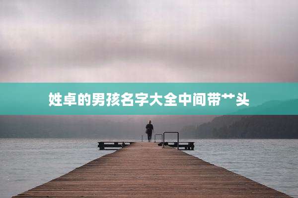 姓卓的男孩名字大全中间带艹头