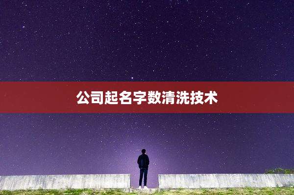 公司起名字数清洗技术