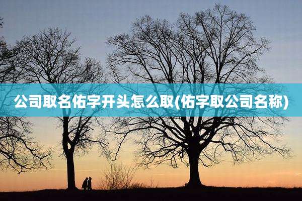 公司取名佑字开头怎么取(佑字取公司名称)