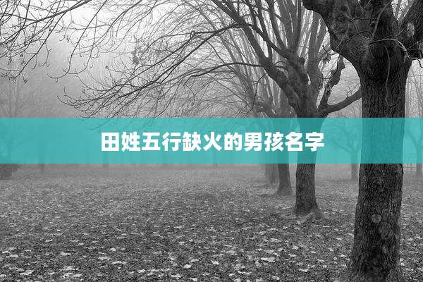 田姓五行缺火的男孩名字