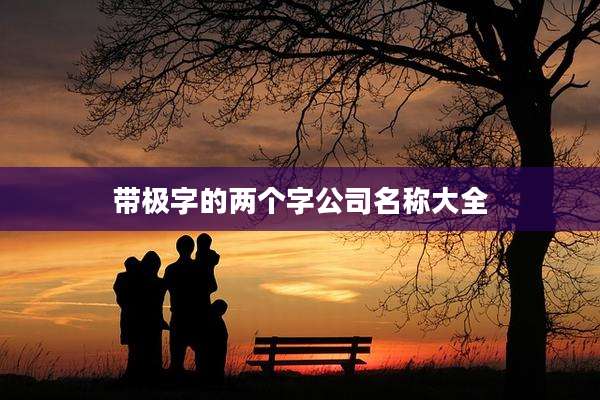 带极字的两个字公司名称大全