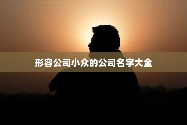 形容公司小众的公司名字大全