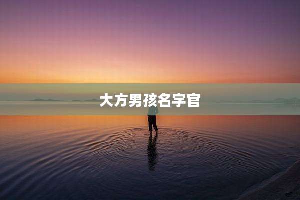 大方男孩名字官