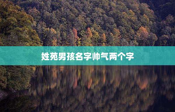 姓苑男孩名字帅气两个字