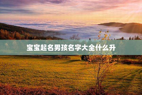宝宝起名男孩名字大全什么升
