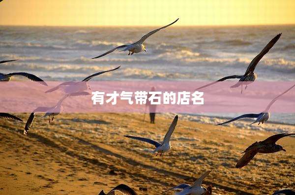 有才气带石的店名