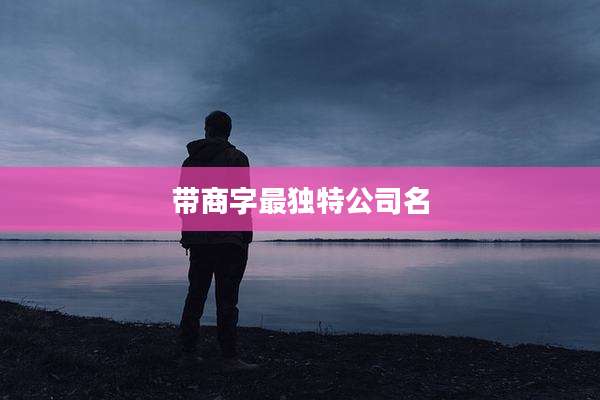 带商字最独特公司名