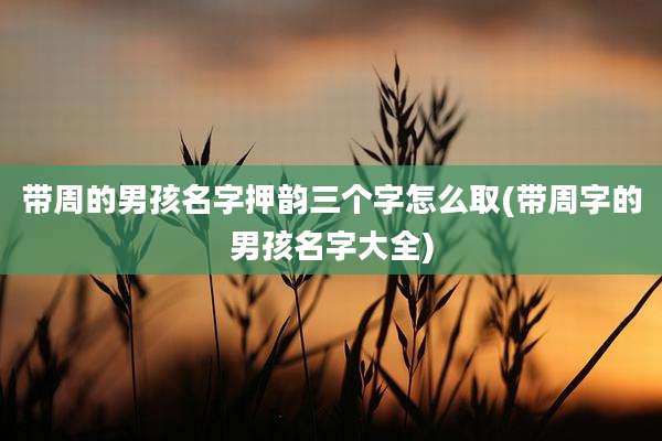 带周的男孩名字押韵三个字怎么取(带周字的男孩名字大全)