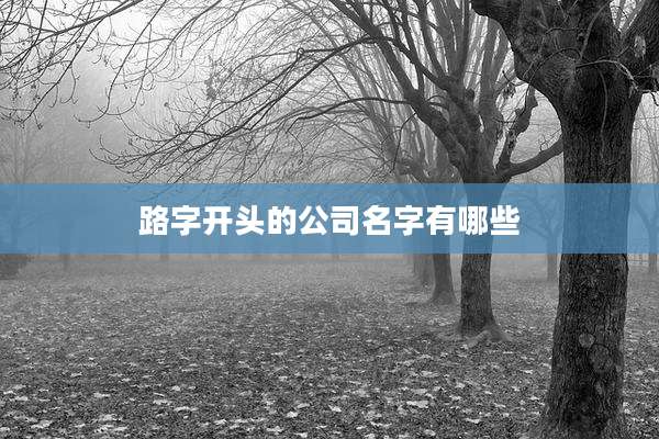 路字开头的公司名字有哪些