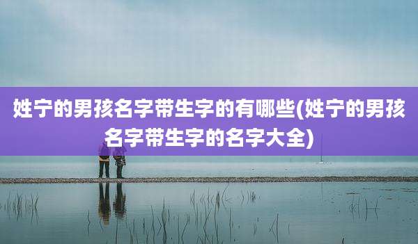 姓宁的男孩名字带生字的有哪些(姓宁的男孩名字带生字的名字大全)