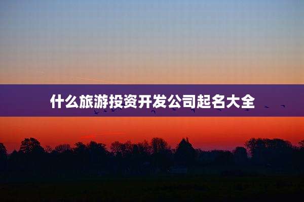 什么旅游投资开发公司起名大全