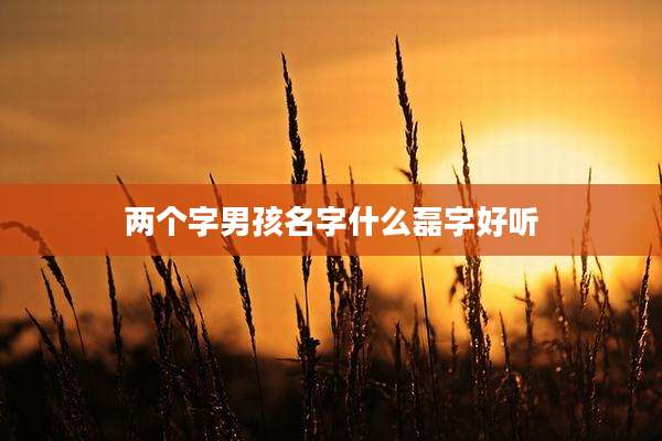 两个字男孩名字什么磊字好听