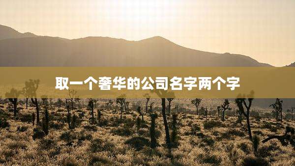 取一个奢华的公司名字两个字