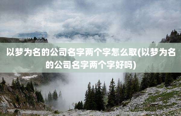以梦为名的公司名字两个字怎么取(以梦为名的公司名字两个字好吗)