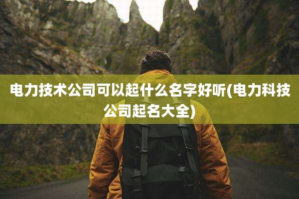 电力技术公司可以起什么名字好听(电力科技公司起名大全)