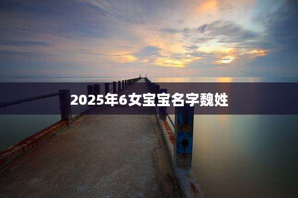 2025年6女宝宝名字魏姓