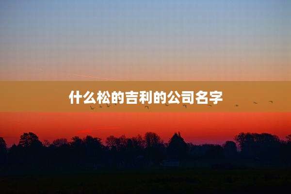 什么松的吉利的公司名字