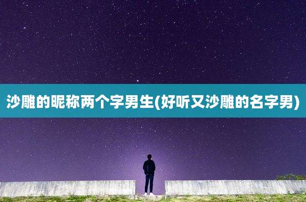 沙雕的昵称两个字男生(好听又沙雕的名字男)