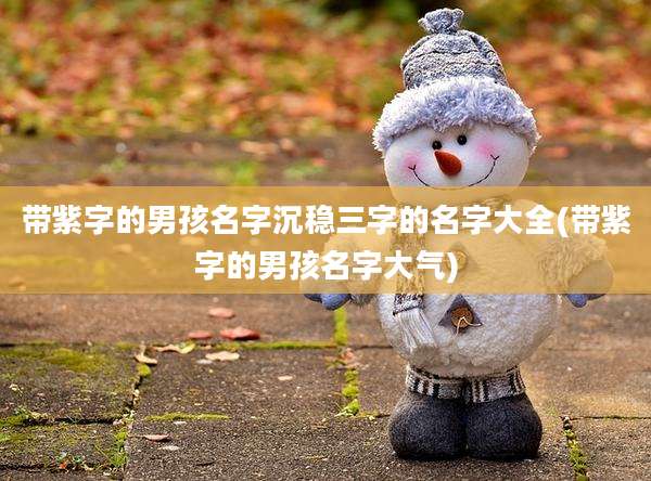 带紫字的男孩名字沉稳三字的名字大全(带紫字的男孩名字大气)