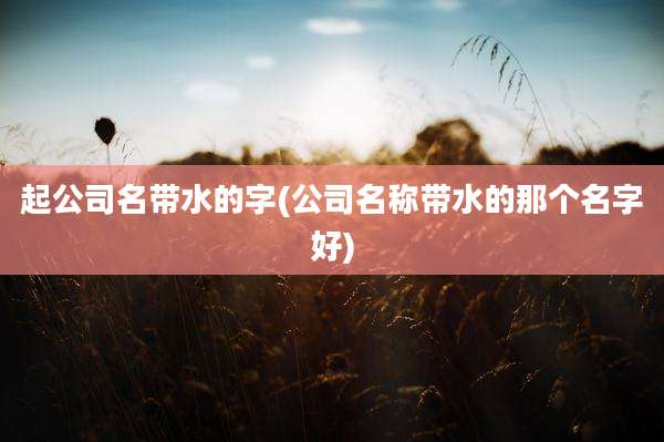 起公司名带水的字(公司名称带水的那个名字好)