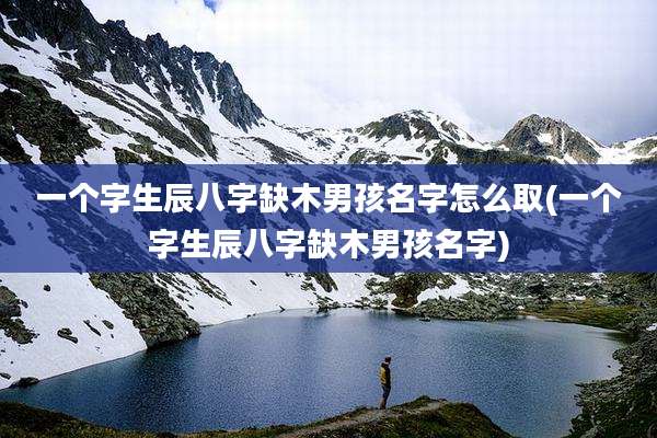 一个字生辰八字缺木男孩名字怎么取(一个字生辰八字缺木男孩名字)