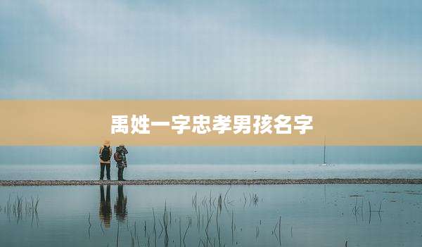 禹姓一字忠孝男孩名字