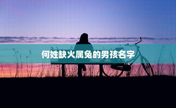 何姓缺火属兔的男孩名字