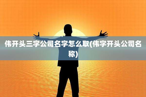 伟开头三字公司名字怎么取(伟字开头公司名称)