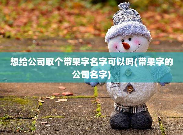 想给公司取个带果字名字可以吗(带果字的公司名字)