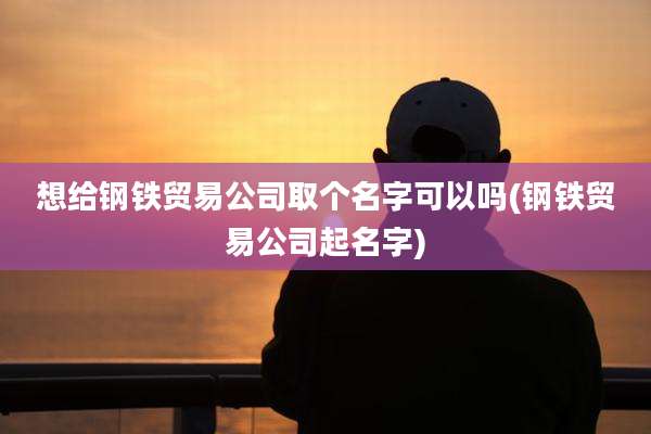 想给钢铁贸易公司取个名字可以吗(钢铁贸易公司起名字)