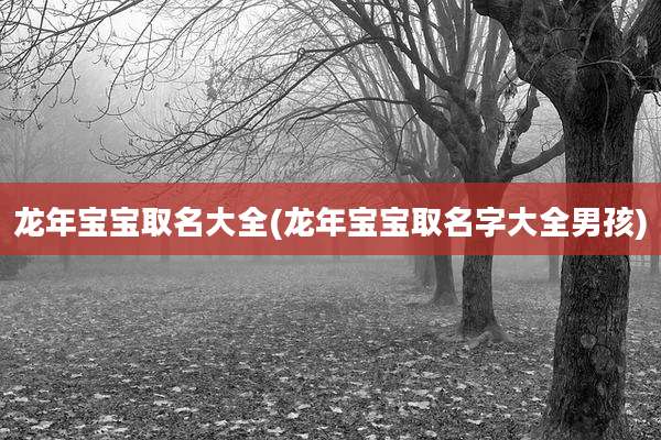 龙年宝宝取名大全(龙年宝宝取名字大全男孩)