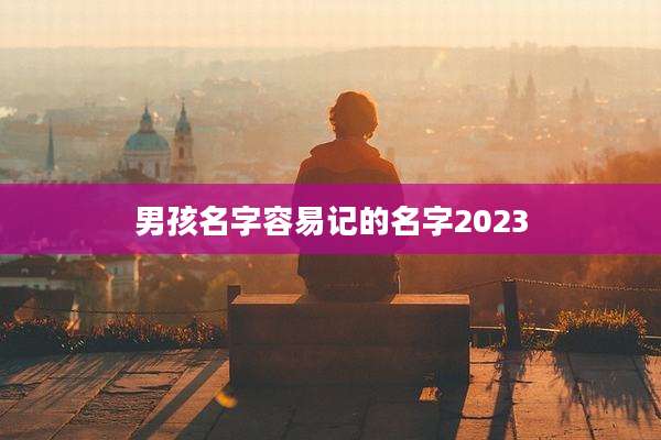 男孩名字容易记的名字2023