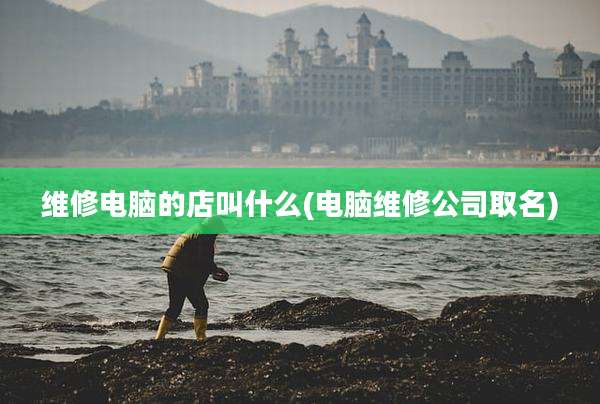 维修电脑的店叫什么(电脑维修公司取名)