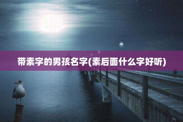 带素字的男孩名字(素后面什么字好听)