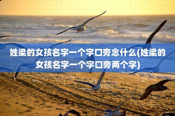 姓梁的女孩名字一个字口旁念什么(姓梁的女孩名字一个字口旁两个字)