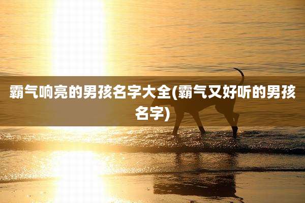 霸气响亮的男孩名字大全(霸气又好听的男孩名字)