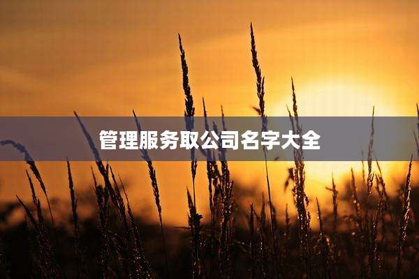 管理服务取公司名字大全