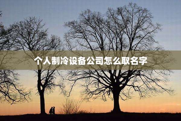 个人制冷设备公司怎么取名字
