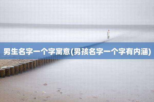 男生名字一个字寓意(男孩名字一个字有内涵)