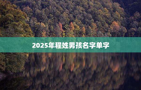 2025年程姓男孩名字单字