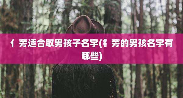 亻旁适合取男孩子名字(钅旁的男孩名字有哪些)