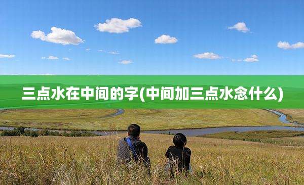 三点水在中间的字(中间加三点水念什么)