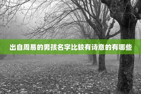 出自周易的男孩名字比较有诗意的有哪些