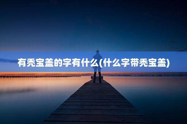 有秃宝盖的字有什么(什么字带秃宝盖)