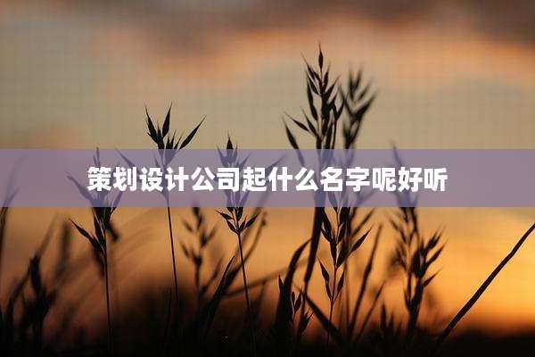 策划设计公司起什么名字呢好听